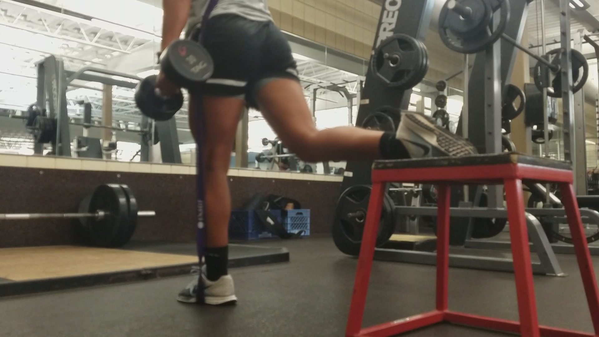 rear-elevated split squat after meniscectomy